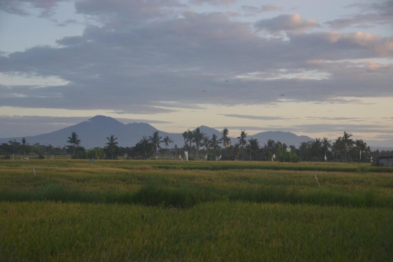 Bali Harmony Retreat Lejlighedshotel Canggu Eksteriør billede