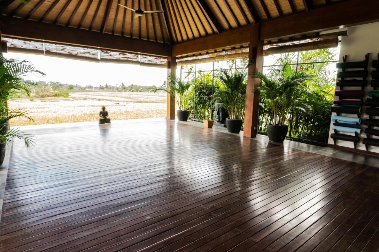 Bali Harmony Retreat Lejlighedshotel Canggu Eksteriør billede