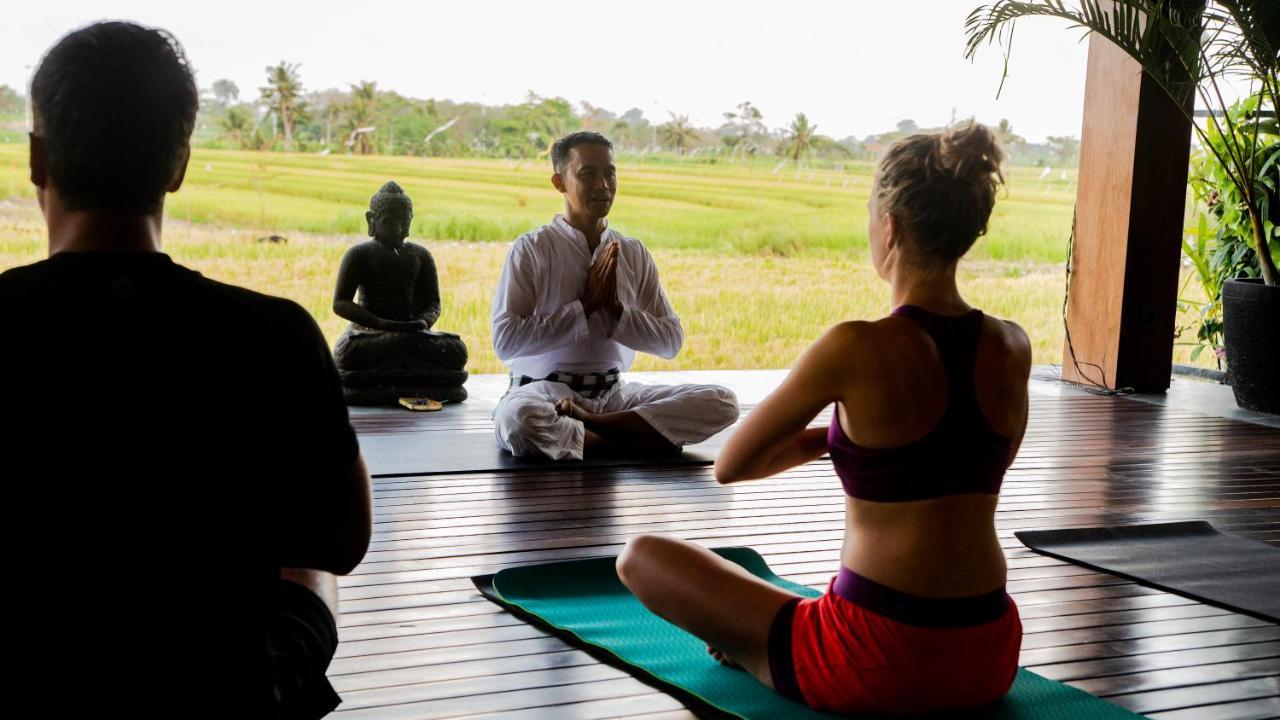 Bali Harmony Retreat Lejlighedshotel Canggu Eksteriør billede